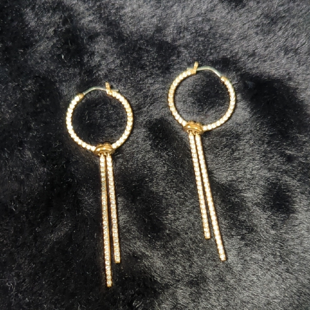 Elegant Gold Hoop Earrings